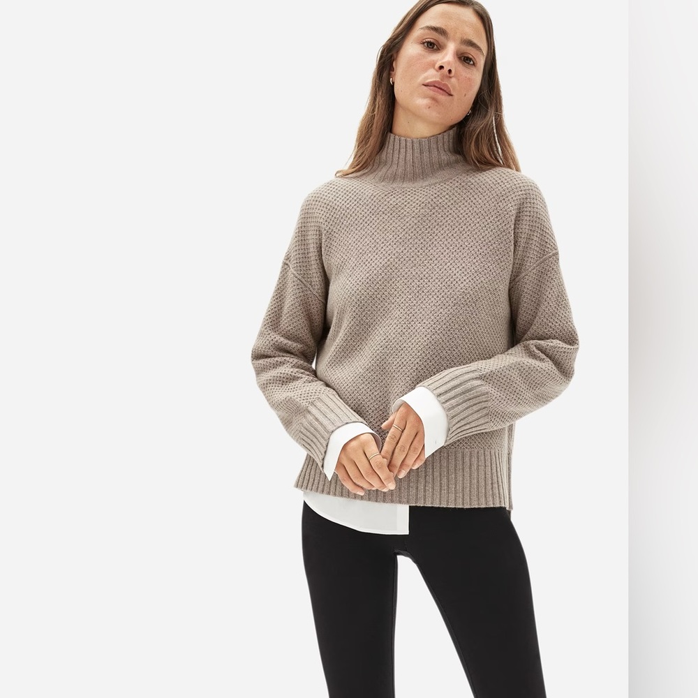 Everlane The ReCashmere Stroopwaffel Turtleneck